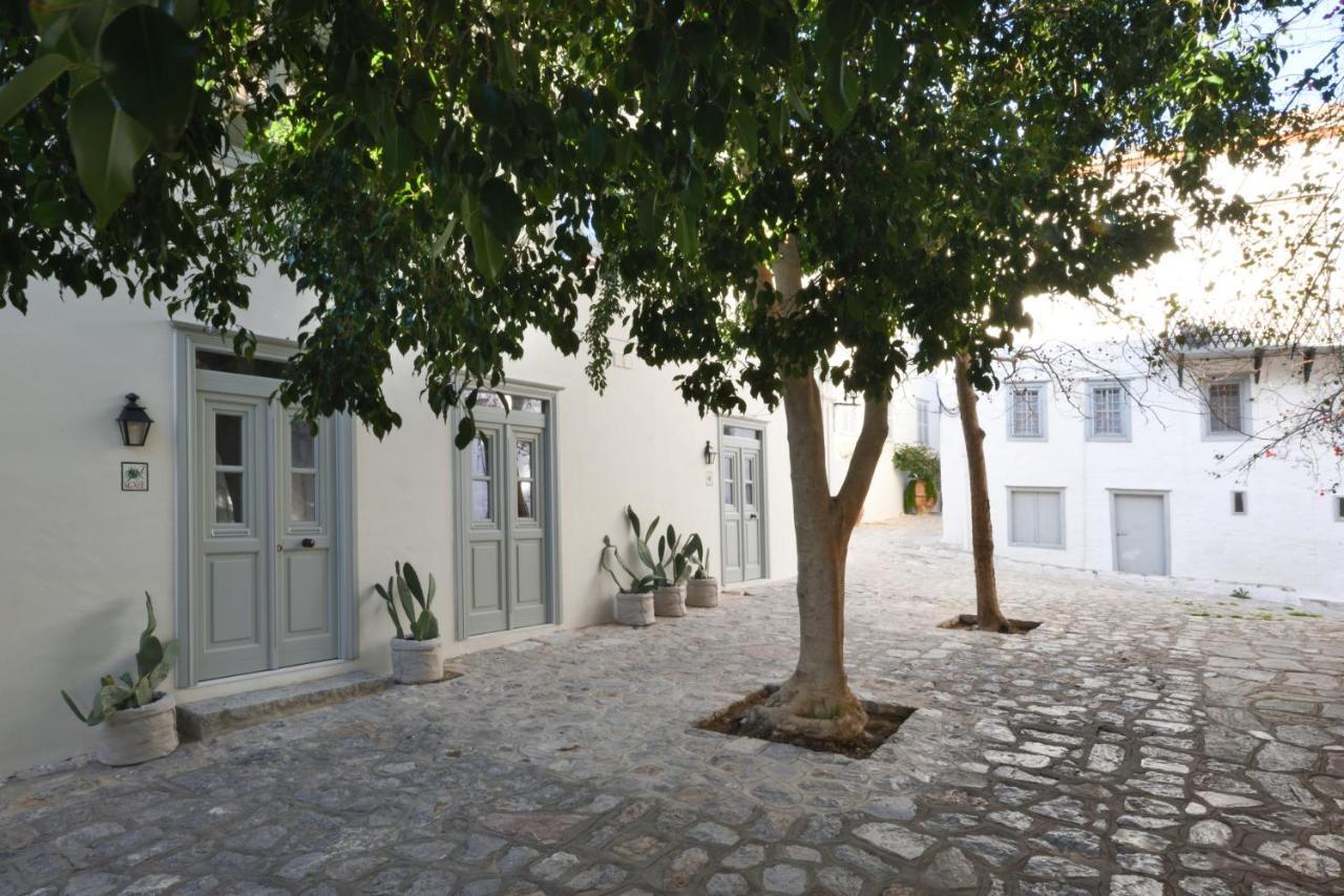 Cactus Hydra - Art Apartments Extérieur photo