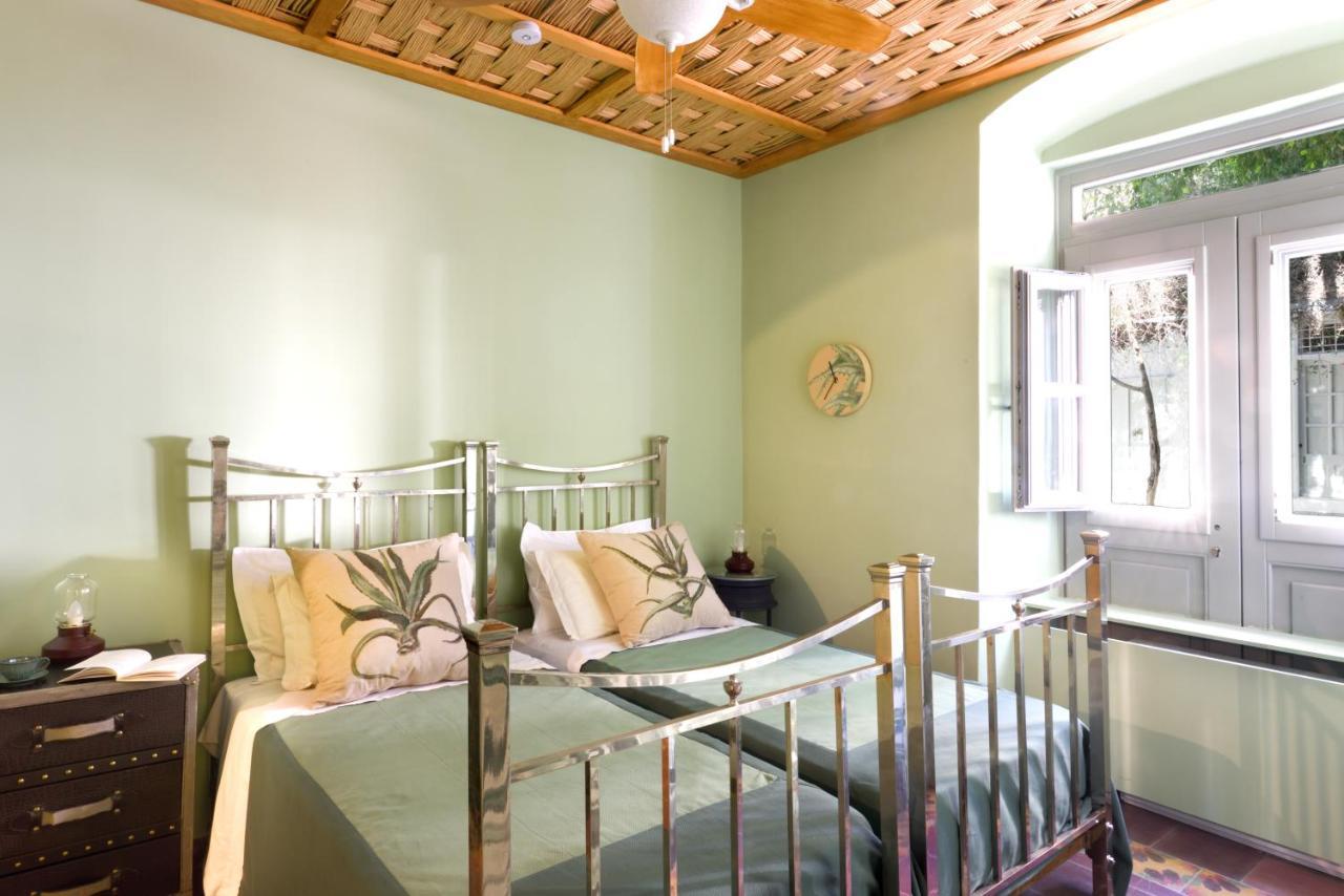 Cactus Hydra - Art Apartments Extérieur photo
