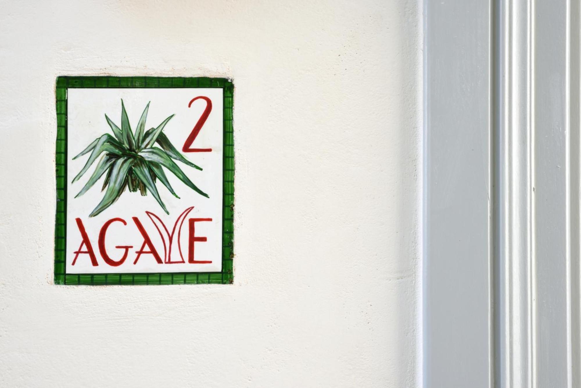 Cactus Hydra - Art Apartments Chambre photo