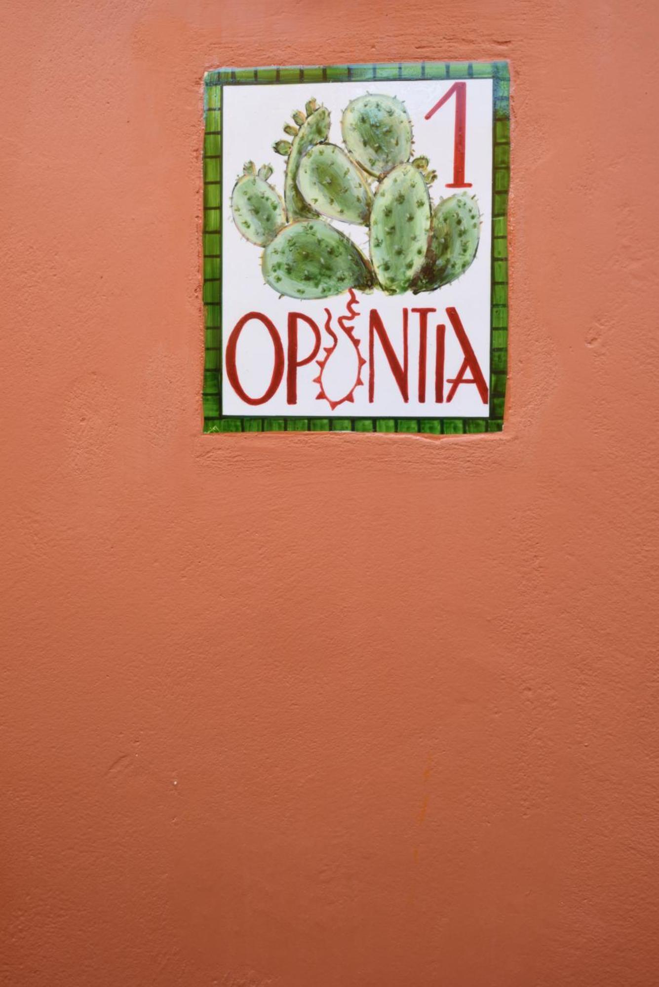 Cactus Hydra - Art Apartments Chambre photo